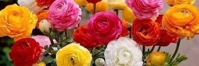 MasoodBhai5's profile picture. Masoodbhai5