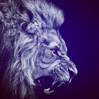 Artem75707003's profile picture. reguired