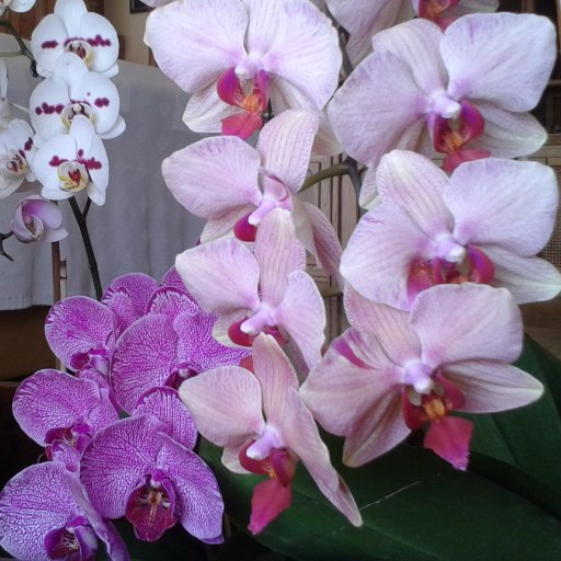 castetarrega's profile picture. Cap del Dpt.de Promoció Econòmica-Ajuntament de Tàrrega. Màster en Protocol, RRII i Gestió Estratègica d'Esdeveniments a Universitat Blanquerna,BCN