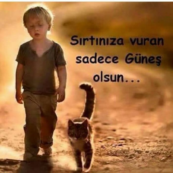 zehraortatepe's profile picture. titrerim kendi üstüme, benden değerli değilsin..