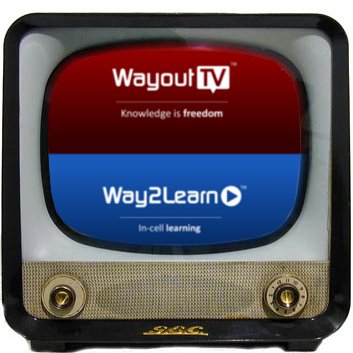 Wayout TV