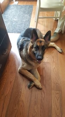 J_LCims's profile picture. 