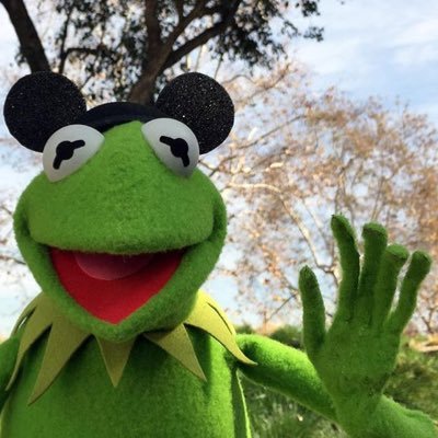 chachachat_ym's profile picture. 相互不干渉、