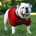Gallatin High School (@bulldogs_ghs) Twitter profile photo Gallatin High School (@bulldogs_ghs) Twitter profile photo