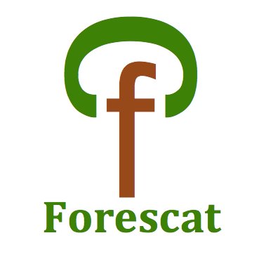 Gestió Forestal i Silvicultura Preventiva
🌐 https://t.co/HEWno53whG // ✉️ info@forescat. es // IG: https://t.co/GVDu7aXabp