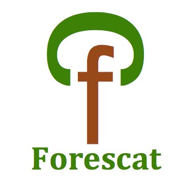 Gestió Forestal i Silvicultura Preventiva
🌐 https://t.co/HEWno53whG  //  ✉️ info@forescat. es // IG: https://t.co/GVDu7aXabp