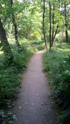 music1bee's profile picture. .