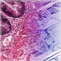 DigitalPathology(@Digi_Pathology) 's Twitter Profile Photo