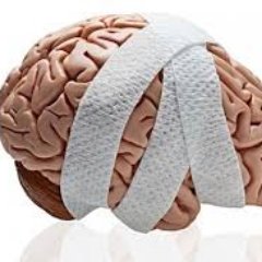 MassConcussion's profile picture. Science, education, and community working together to prevent and manage concussions