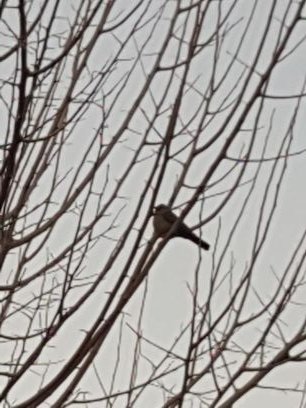 2417da26512f43f's profile picture. 