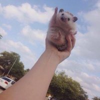 ふがし🌈✨ (@a0716m0721) 's Twitter Profile