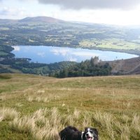 Elspeth (@elspethdesert) 's Twitter Profile