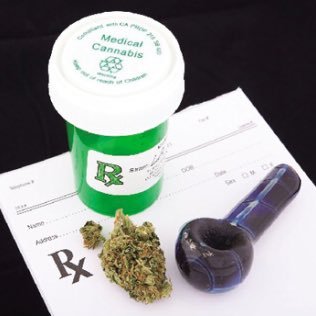 今も日本国内ではたくさんの医療用大麻を必要とする患者が大勢います。私もその中の一人です。海外では既に医療効果を認め難病の患者に処方されていますが、日本ではまだまだ見えない先の話だと思います。ですから少しだけでも早く日本で治療が可能になる日が来るようできる限りの人に賛成、フォローして頂きたいと思っております。