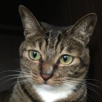 doomr4 (@doomr4) 's Twitter Profile