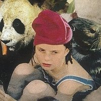 סוף (@_selftitled_) 's Twitter Profile