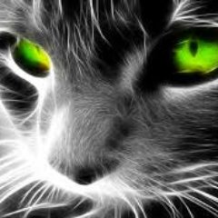 toapanta_klever's profile picture. 