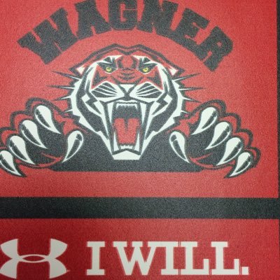 Wagnerfootball's profile picture. Winning as a team is better than anything. It's great to share success. -Jim Harbaugh