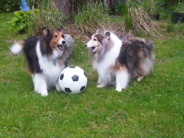 KathyMcIntyre's profile picture. 