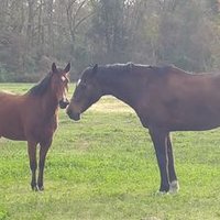 Cisco (@chunkyfunky30) 's Twitter Profile
