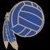 Central Volleyball (@chsindiansvb) Twitter profile photo Central Volleyball (@chsindiansvb) Twitter profile photo