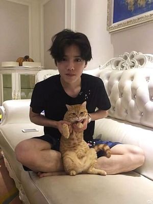 FauzanAus's profile picture. Cerita komedi