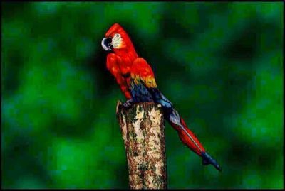 ollpollp1010's profile picture. 