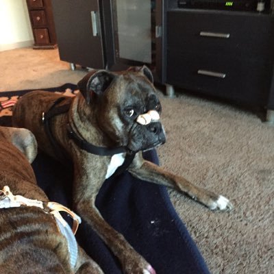 DeafReignz's profile picture. 