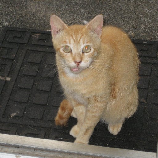 arwherbert's profile picture. Alive!!