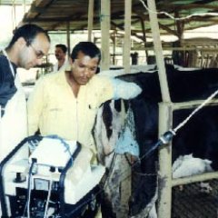 Gestión Ambiental,Productiva,Nutricional y Clinica-Sanitaria. Bienestar y Mejora Génica-Reproductiva Clasica y Biotecnologica de Medianos y Grandes Animales