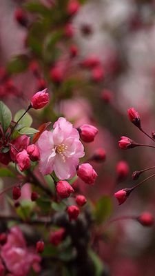 yyhh433's profile picture. 