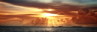 mohd_alk3bii's profile picture. 0505222443