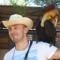 Chris Detyna (@chrisdetyna) 's Twitter Profile
