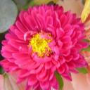 Sunny - @PatrickLynn22 - Twitter