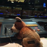 bahar cotur (@microcebe) Twitter profile photo