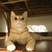 Frey轰轰 (@hifrey) 's Twitter Profile Photo Frey轰轰 (@hifrey) 's Twitter Profile Photo