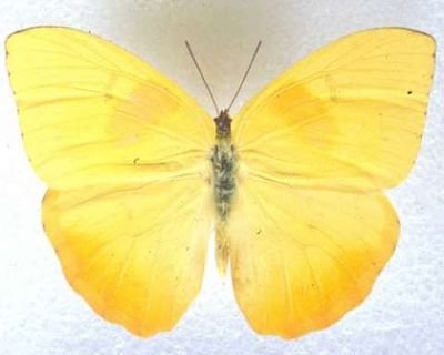 Factory__Art's profile picture. Art - Culture