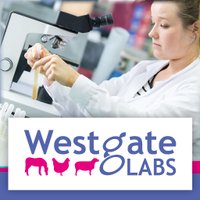 Westgate Labs (@westgatelabs) 's Twitter Profile
