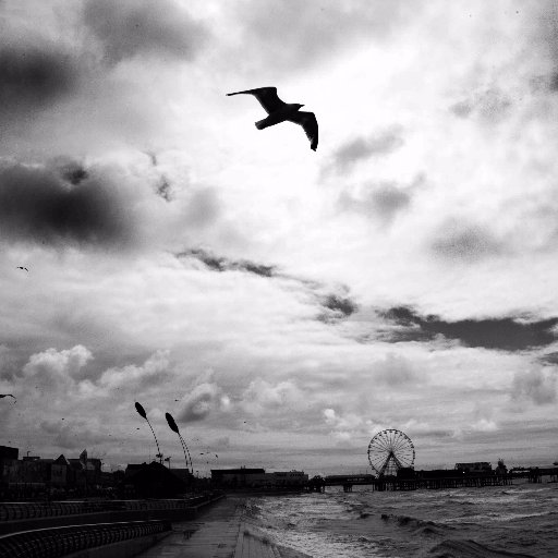 photojourno1's profile picture. 