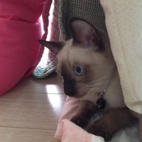 ★서비날다★ (@hjs4718) 's Twitter Profile