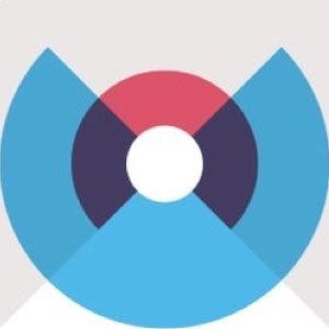 Vidimishi's profile picture. Creating New Jobs and Entrepreneurs for Social Impact (NL/EN)