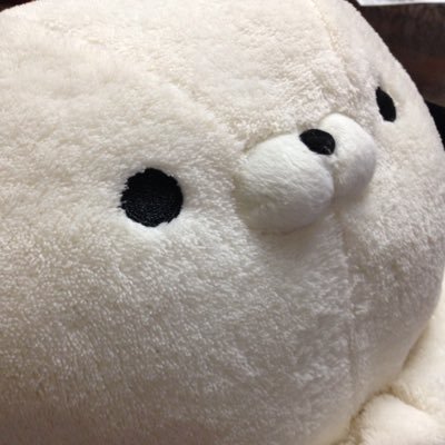 ビブ太郎とそのださんのプロフィール画像