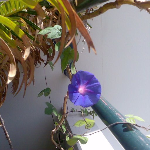 dpita's profile picture. Always on the go...