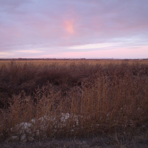 MariaVirgil94's profile picture. 