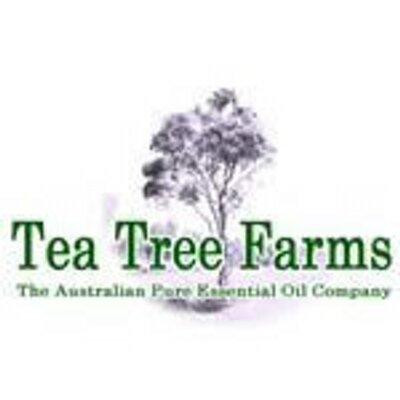 Tea Tree Farms 最近 ティーツリーオイル エクストラクトで爪水虫対策実験をしたブログ記事へのアクセスが増えています Http Teatree Cocolog Nifty Com Teatree 09 04 Post 30c9 Html