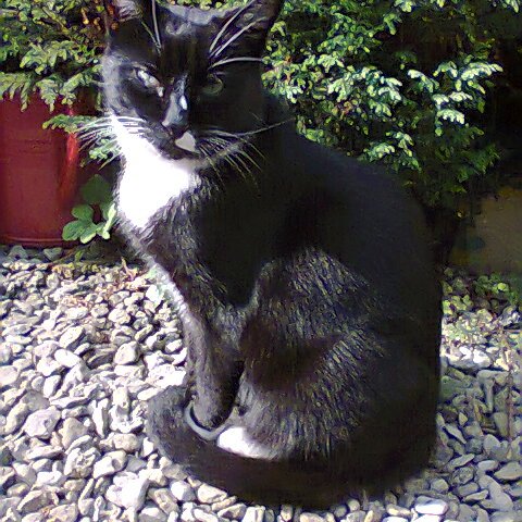 linny09916846's profile picture. 