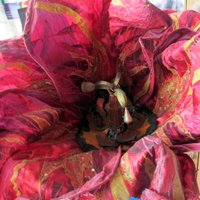 맞춤시간 (@alighttime) 's Twitter Profile