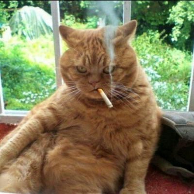 vlab97's profile picture. 