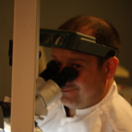 larhant's profile picture. Maitre Artisan Joaillier Créateur: Votre bijoux nous l'inventons avec Vous.