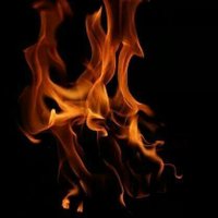 The FirePlace (@thefireplacellc) 's Twitter Profile
