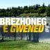 Brezhoneg e Gwened (@brezhoneggwened) Twitter profile photo Brezhoneg e Gwened (@brezhoneggwened) Twitter profile photo